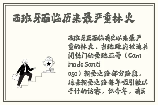 野花视频在线观看播放在线观看5