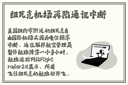 水嫩的小兔子又软又肥